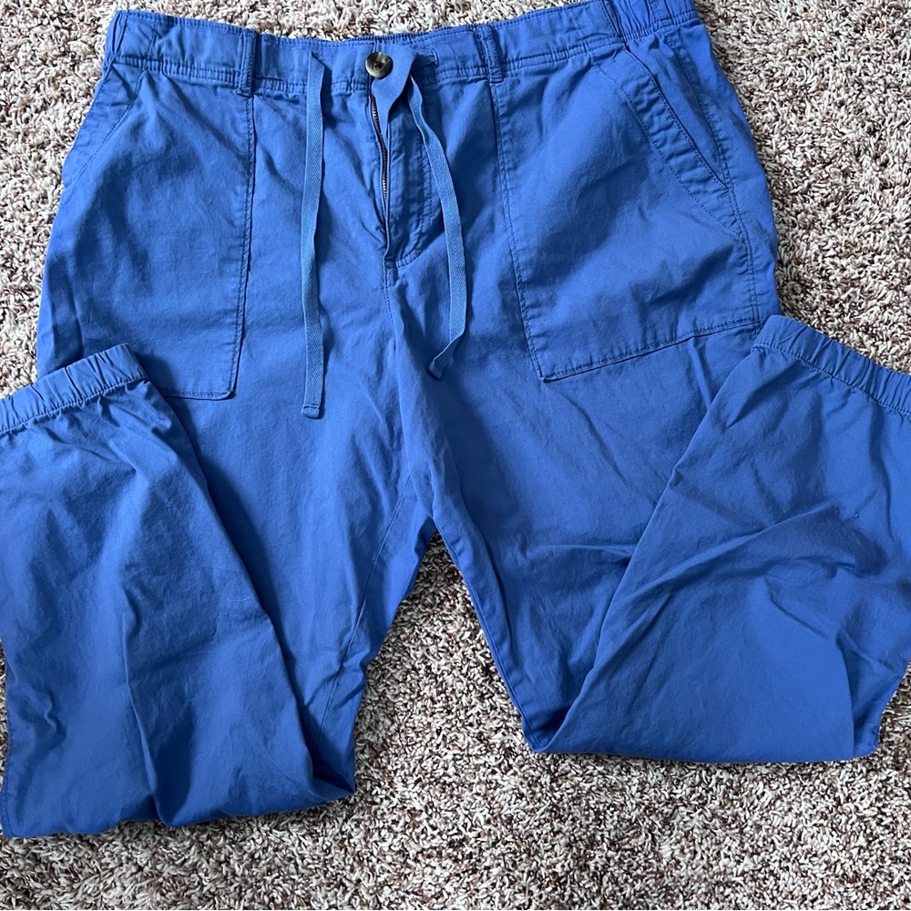 women’s  Blue jogger Pants
